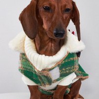 HKM-4614333 Christmas Plaid Dog Coats in Red and Green - European and American Style Pet Clothing