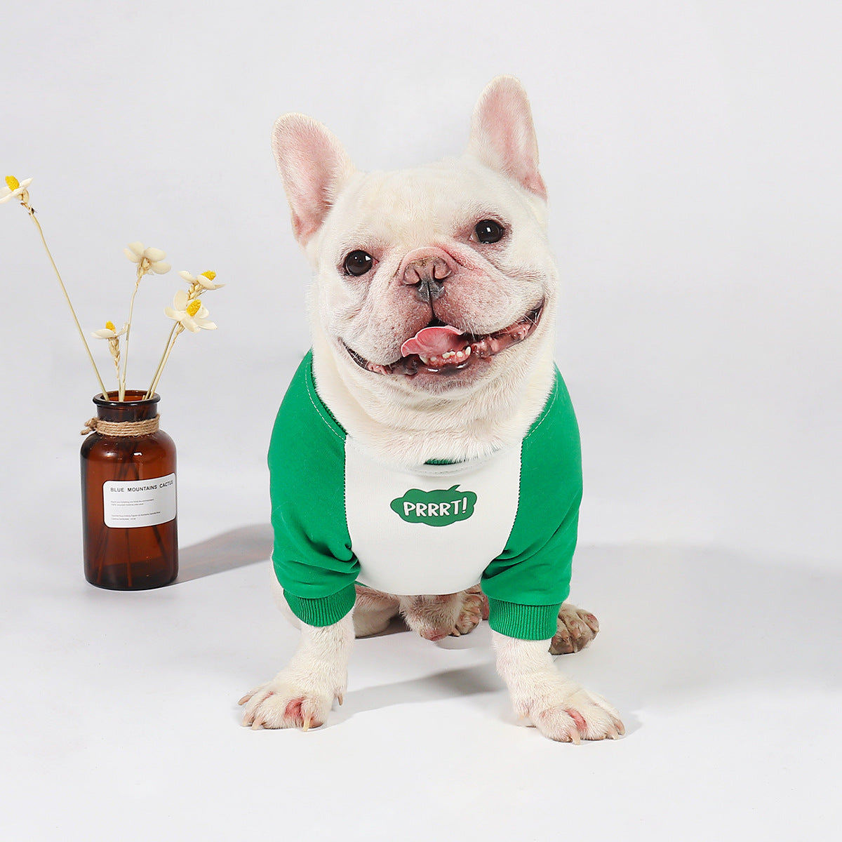 HKM-461523 Korean-Style Thin Stitching Autumn Dog Clothes for Comfort and Warmth