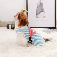 HKM-4615357 Small Pet Dog Backpack Vest - Adjustable Fit for Sizes S-XXXL, Yellow & Blue Options