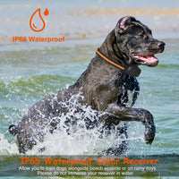 HKM-4620989 Rechargeable Dog Training Collar with 3 Training Modes, IP65 Waterproof, 984FT Range, Safety Lock, and Adjustable Correction Levels