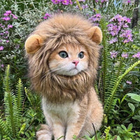 HKM-4622781 Lion Mane Costume for Cats and Small Dogs - Realistic Faux Fur Headgear with Adjustable Band