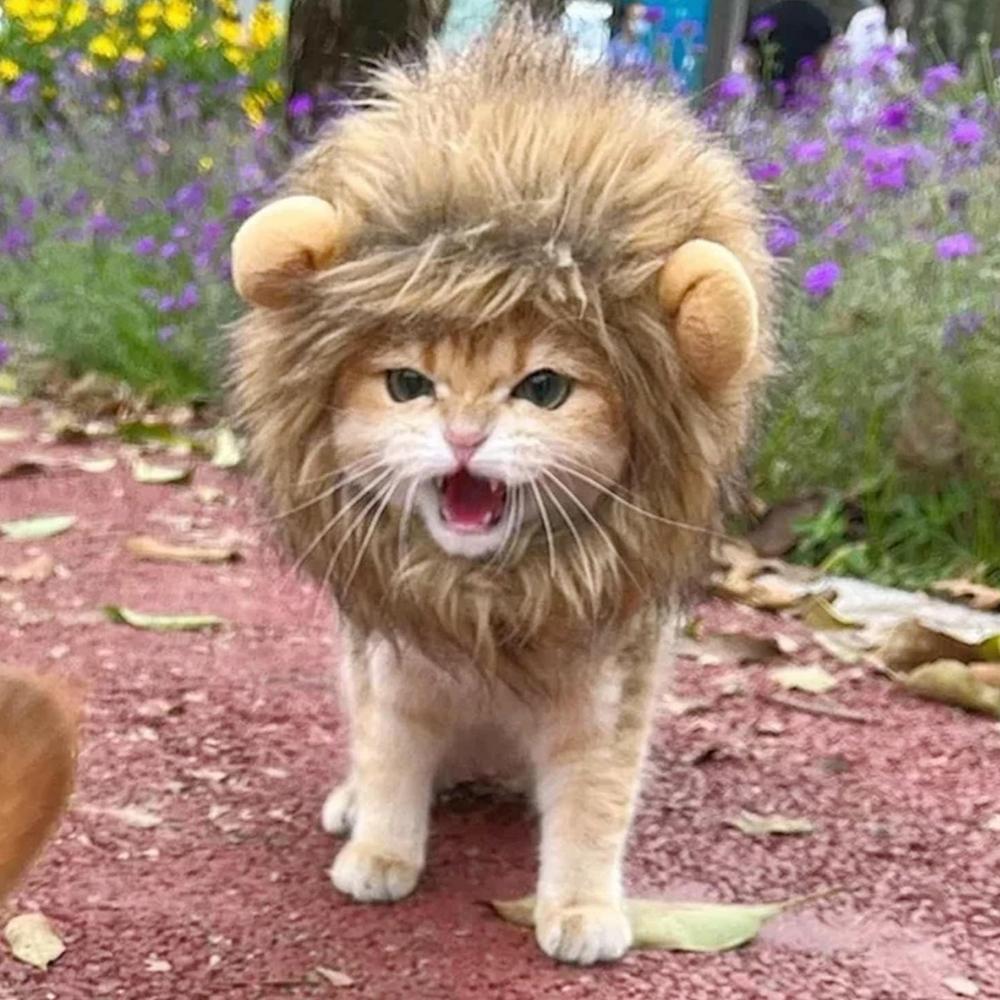 HKM-4622781 Lion Mane Costume for Cats and Small Dogs - Realistic Faux Fur Headgear with Adjustable Band