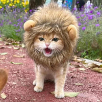 HKM-4622781 Lion Mane Costume for Cats and Small Dogs - Realistic Faux Fur Headgear with Adjustable Band