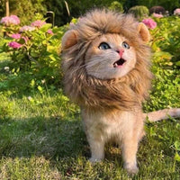 HKM-4622781 Lion Mane Costume for Cats and Small Dogs - Realistic Faux Fur Headgear with Adjustable Band