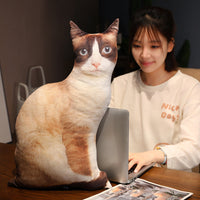 HKM-462291 Cute Kitty Plush Pillow Toy, 50cm Height, Various Styles for Ages 15-35