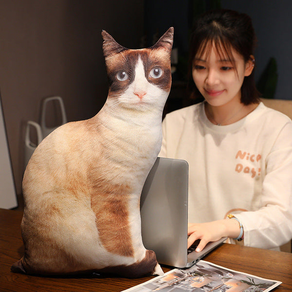 HKM-462291 Cute Kitty Plush Pillow Toy, 50cm Height, Various Styles for Ages 15-35
