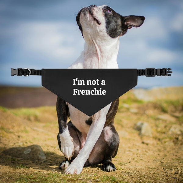 HKM-4629053 Triangular Dog Saliva Towel Collar Scarf for All Seasons in Various Sizes