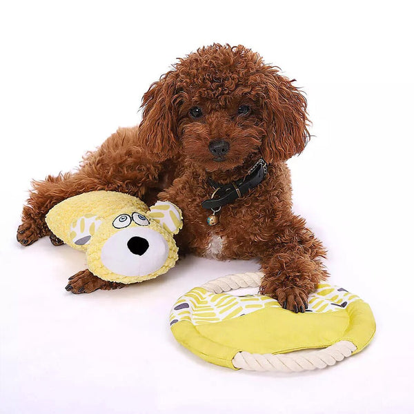 HKM-4630717 Durable Plush Dog Toy with Molar Features for Interactive Pet Play and Training