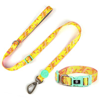 HKM-4630845 Adjustable Nylon Dog Collar and Leash Set with Harness Vest for Small to Large Dogs