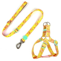 HKM-4630845 Adjustable Nylon Dog Collar and Leash Set with Harness Vest for Small to Large Dogs