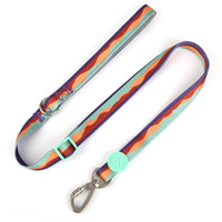 HKM-4630845 Adjustable Nylon Dog Collar and Leash Set with Harness Vest for Small to Large Dogs