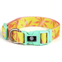 HKM-4630845 Adjustable Nylon Dog Collar and Leash Set with Harness Vest for Small to Large Dogs