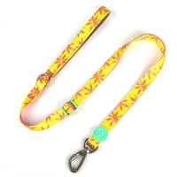 HKM-4630845 Adjustable Nylon Dog Collar and Leash Set with Harness Vest for Small to Large Dogs