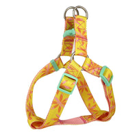 HKM-4630845 Adjustable Nylon Dog Collar and Leash Set with Harness Vest for Small to Large Dogs