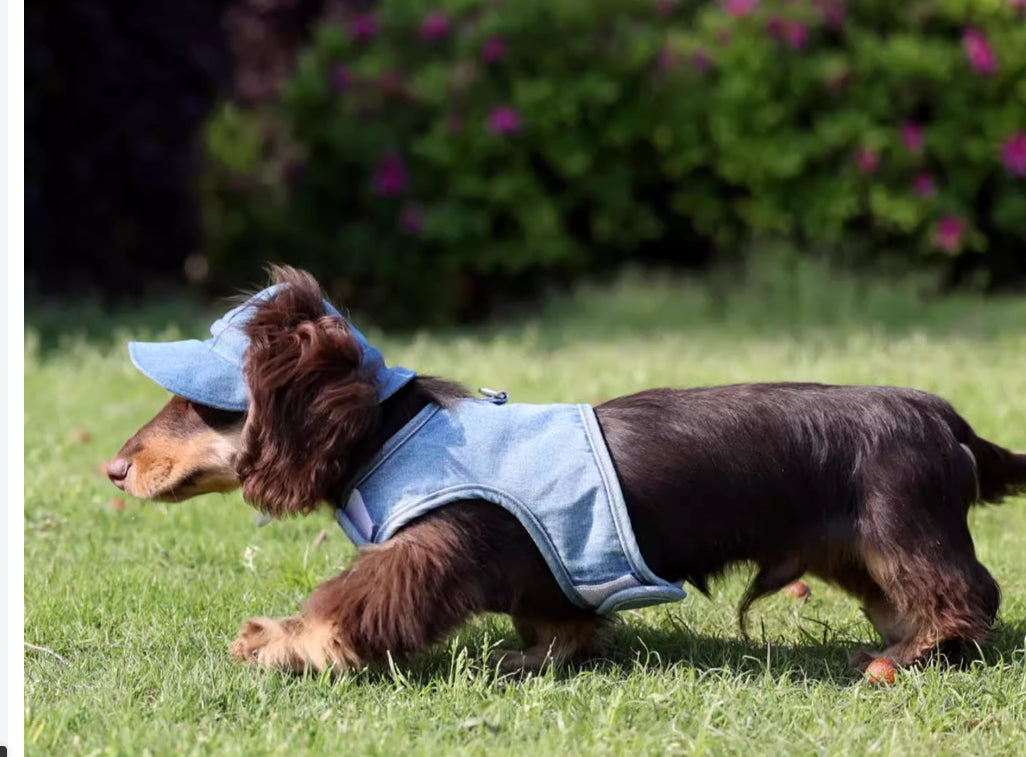 HKM-4631613 Pet Denim Cowboy Hat for Sun Protection - Available in Sizes S, M, L