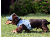 HKM-4631613 Pet Denim Cowboy Hat for Sun Protection - Available in Sizes S, M, L