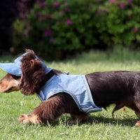HKM-4631613 Pet Denim Cowboy Hat for Sun Protection - Available in Sizes S, M, L