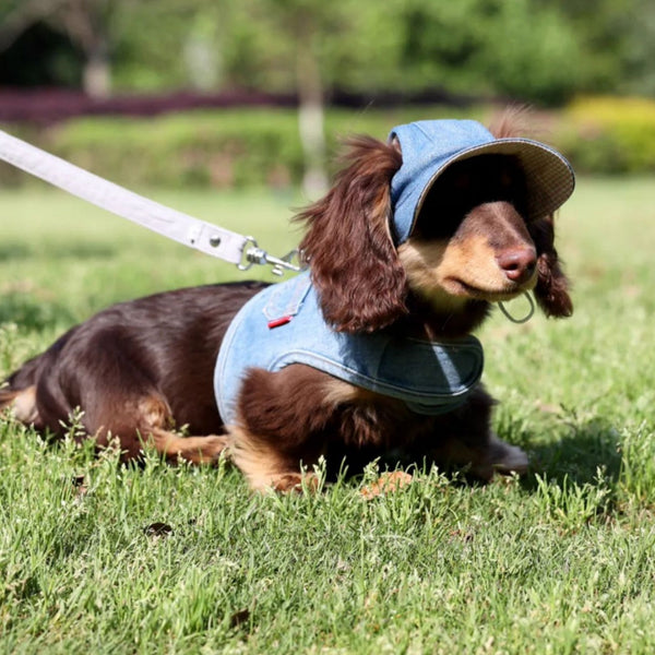 HKM-4631613 Pet Denim Cowboy Hat for Sun Protection - Available in Sizes S, M, L