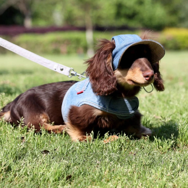 HKM-4631613 Pet Denim Cowboy Hat for Sun Protection - Available in Sizes S, M, L
