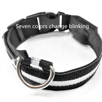 HKM-4633021 Luminous Anti-Lost Dog Collar with Geometric Patterns and Multiple Color Options