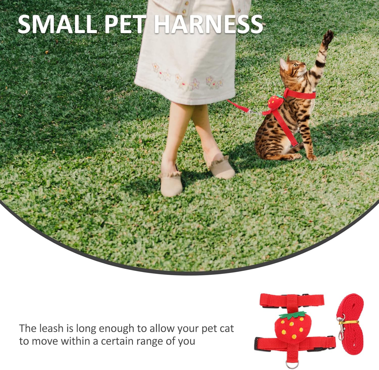HKM-4638269 Small Pet Harness and Leash Set for Cats and Dogs - Secure and Comfortable Walking Solution