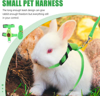 HKM-4638269 Small Pet Harness and Leash Set for Cats and Dogs - Secure and Comfortable Walking Solution