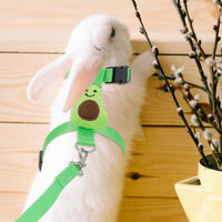 HKM-4638269 Small Pet Harness and Leash Set for Cats and Dogs - Secure and Comfortable Walking Solution
