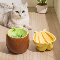 HKM-4642749 Cat Bowl Set with Protective Cushion - Ceramic Kiwi and Banana Designs - Medium Size