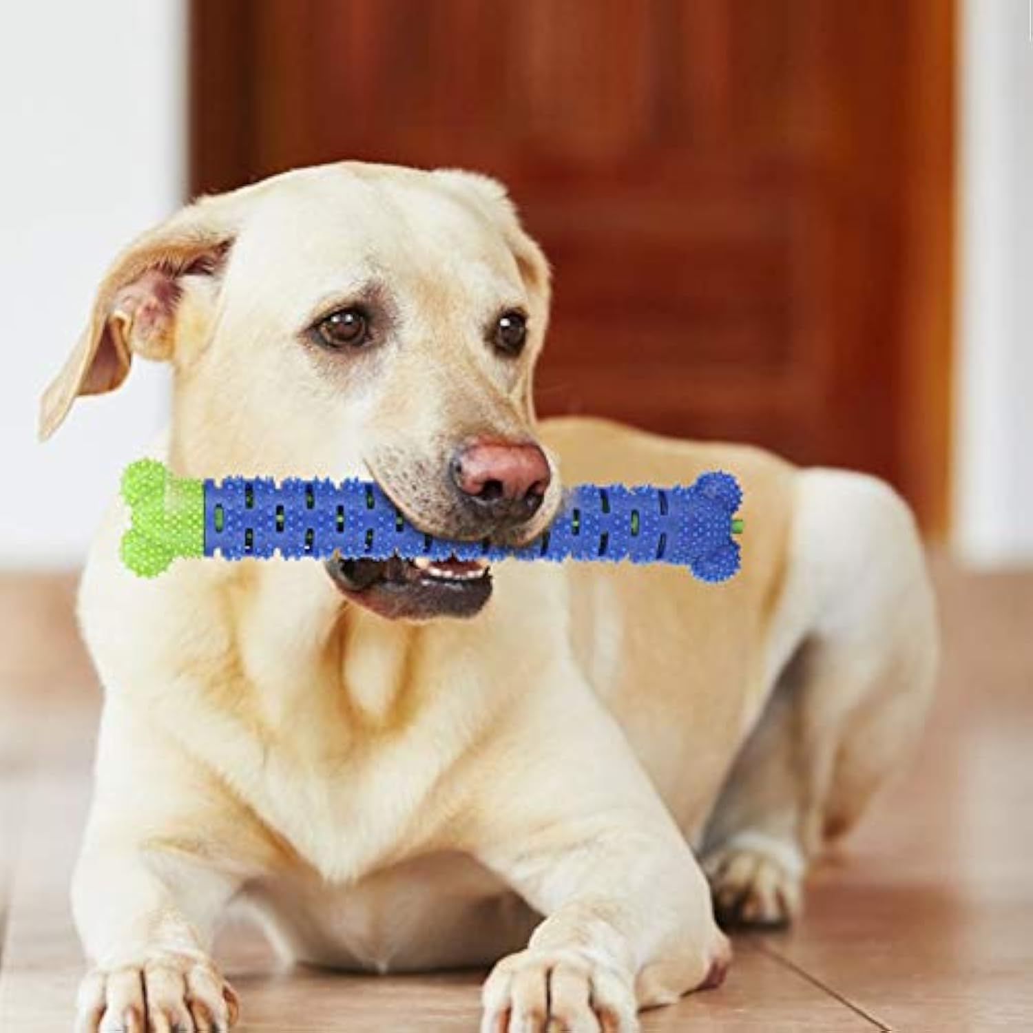 HKM-4644029 Blue Green Pet Molar Tooth Cleaner Brush Stick for Dog Dental Care and Oral Health