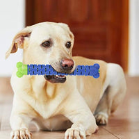 HKM-4644029 Blue Green Pet Molar Tooth Cleaner Brush Stick for Dog Dental Care and Oral Health