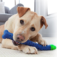 HKM-4644029 Blue Green Pet Molar Tooth Cleaner Brush Stick for Dog Dental Care and Oral Health