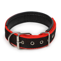 HKM-4644541 Nylon Dog Collars in Blue, Black, Red, and Green for Small to Large Breeds