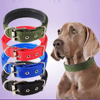 HKM-4644541 Nylon Dog Collars in Blue, Black, Red, and Green for Small to Large Breeds