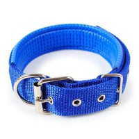 HKM-4644541 Nylon Dog Collars in Blue, Black, Red, and Green for Small to Large Breeds