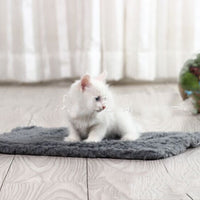HKM-4648509 Hemp Cat Scratch Board with Plush Surface - 48 x 31 cm Teaser Toy
