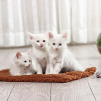 HKM-4648509 Hemp Cat Scratch Board with Plush Surface - 48 x 31 cm Teaser Toy