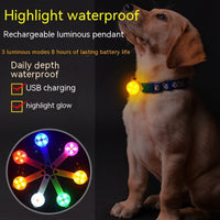 HKM-4649789 Luminous USB Charging Waterproof Dog Pendant Light for Night Walking with Customizable Colors