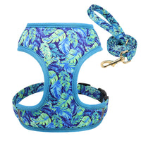 HKM-4656445 Adjustable Broken Flower Pattern Dog Leash and Chest Harness for Small Breeds