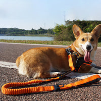 HKM-4657853 Retractable Reflective Traction Belt for Pets with Hand-Holding Rope in Black, Orange, Khaki