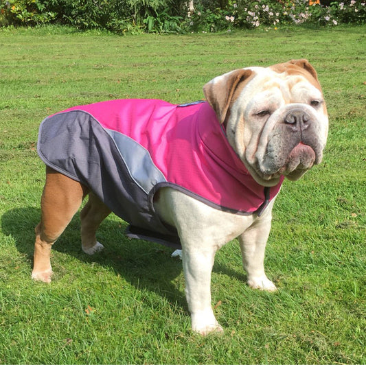 HKM-4658237 Waterproof Outdoor Poncho for Pets in Multiple Colors and Sizes