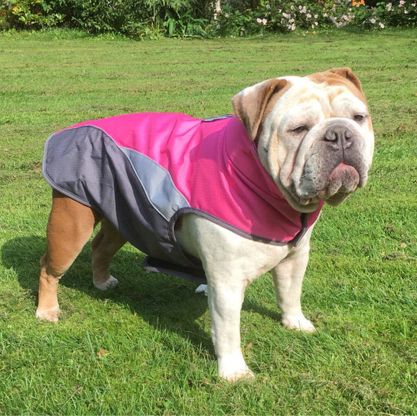 HKM-4658237 Waterproof Outdoor Poncho for Pets in Multiple Colors and Sizes
