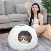 HKM-466707 Small Eco-Friendly Automatic Pet Hair Dryer for Dogs and Cats – Modern Plastic Drying Tool