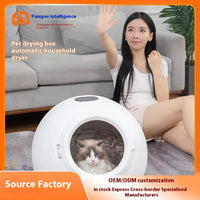 HKM-466707 Small Eco-Friendly Automatic Pet Hair Dryer for Dogs and Cats – Modern Plastic Drying Tool