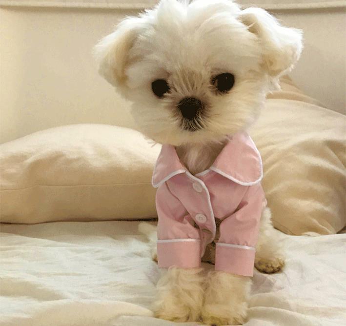 HKM-4667965 Casual Summer Dog Pajamas for All Breeds - Lightweight and Comfortable Sleepwear
