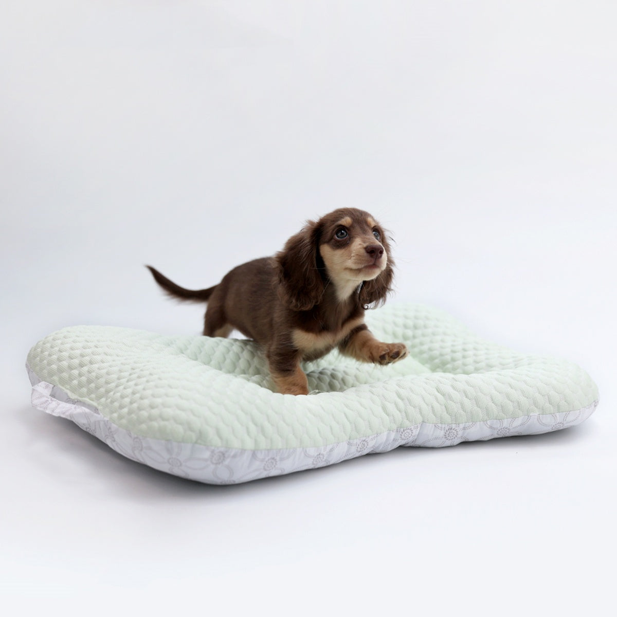 HKM-4671421 Cooling Pet Bed Mat - Non-Stick, Hair-Resistant, Oxford Cloth - Light Blue or Light Green - S & M Sizes