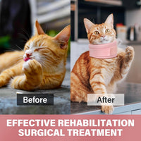 HKM-4677309 Soft Neck Brace Cone Collar for Cats and Dogs After Surgery - Supportive Recovery Aid