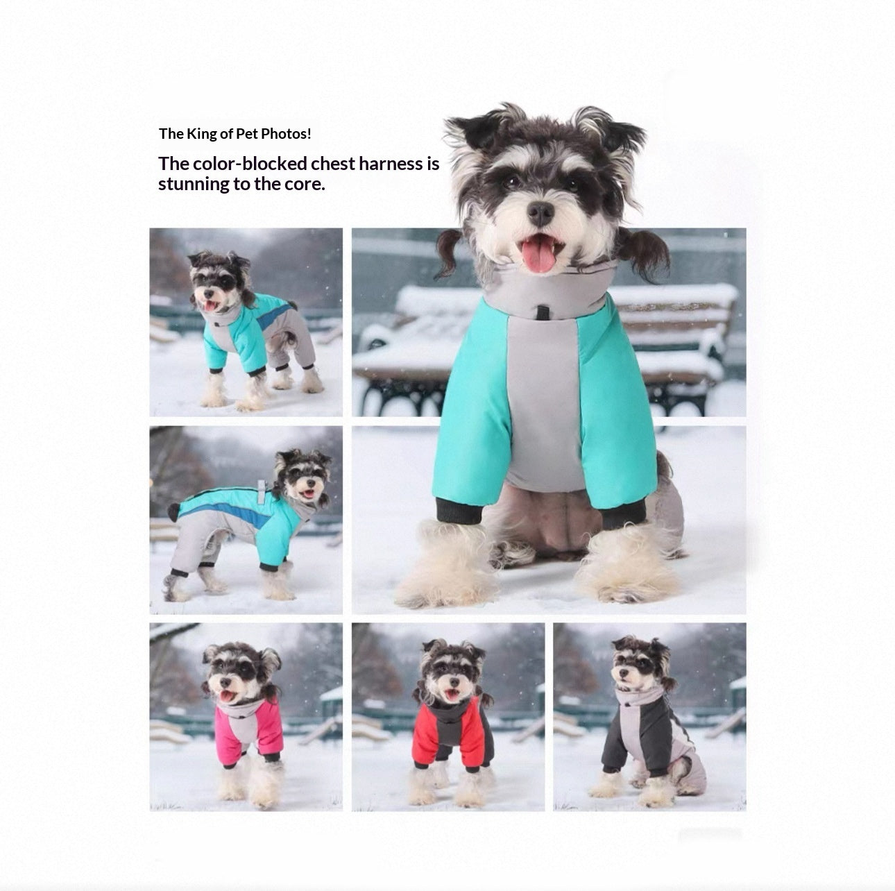 HKM-4679869 Fleece-Lined Waterproof Dog Coat with Traction for All Seasons