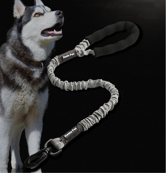 HKM-4684861 Elastic Traction Rope for Medium and Large Dogs - High Elasticity and Explosion-Proof Design