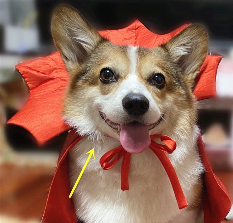 HKM-4685245 Vampire King Pet Halloween Cape in Black - One Size, Adjustable Collar, 71*51cm Spread Size