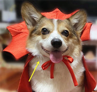 HKM-4685245 Vampire King Pet Halloween Cape in Black - One Size, Adjustable Collar, 71*51cm Spread Size